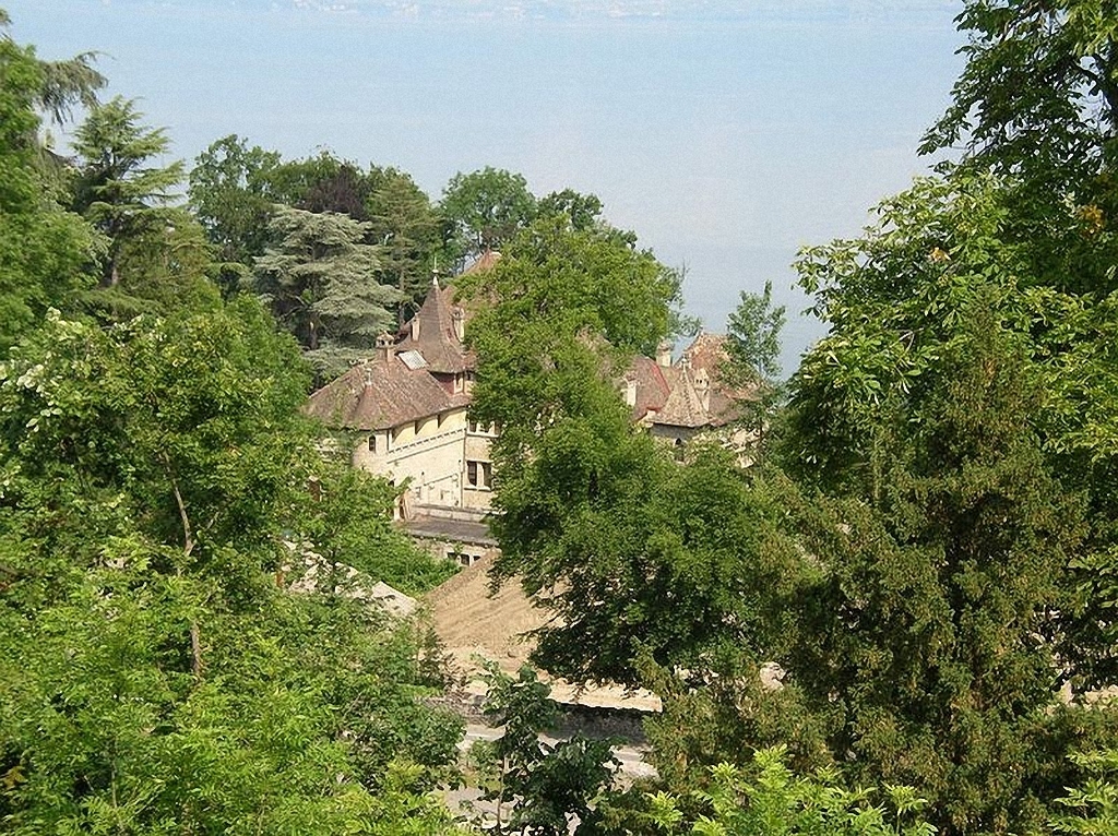 THO-11.jpg
