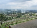 Bali141