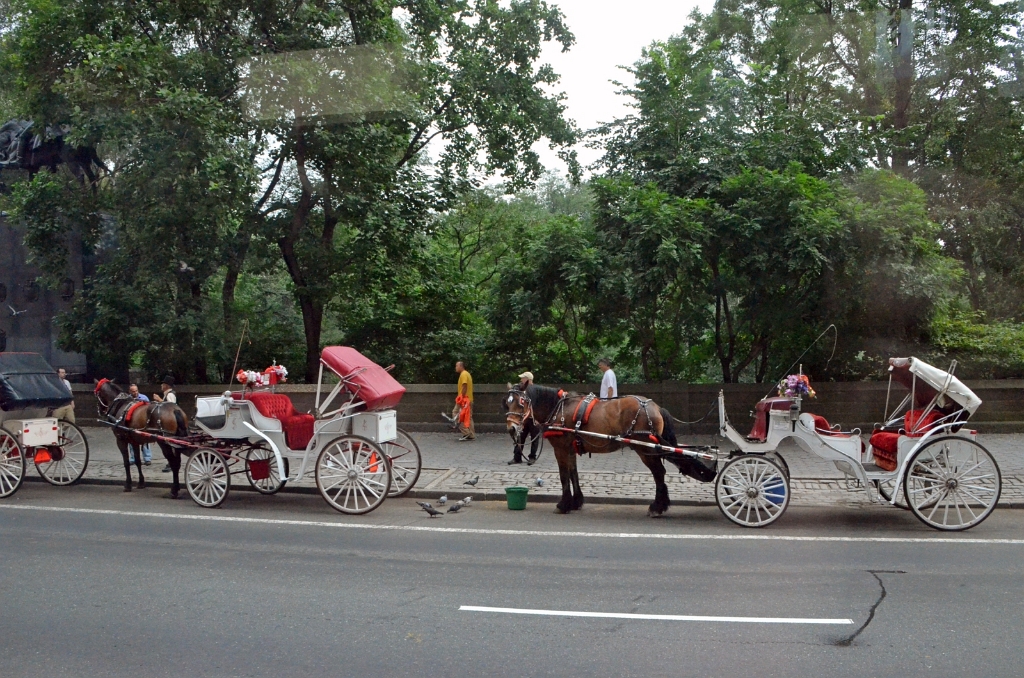 DSC_2318.JPG