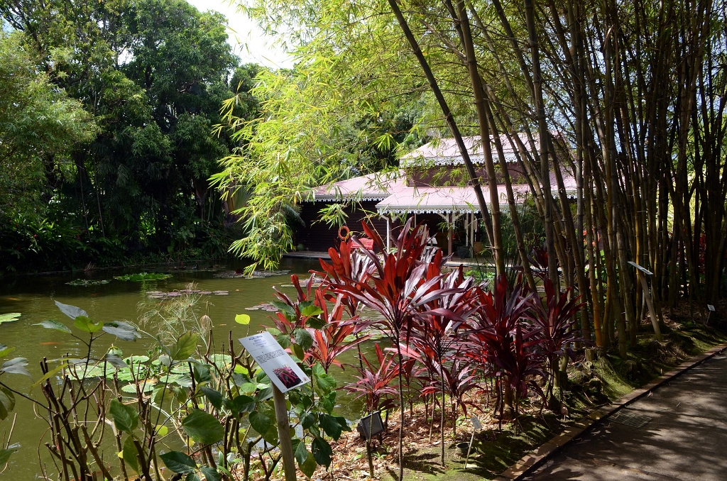GUA185.JPG