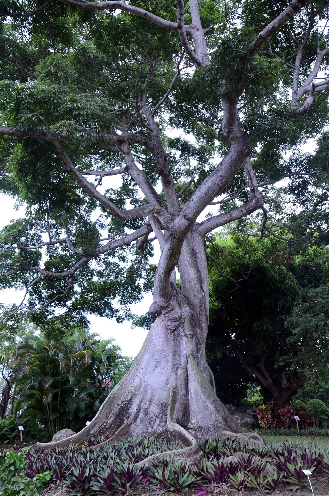 GUA208.JPG