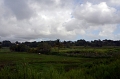 GUA151