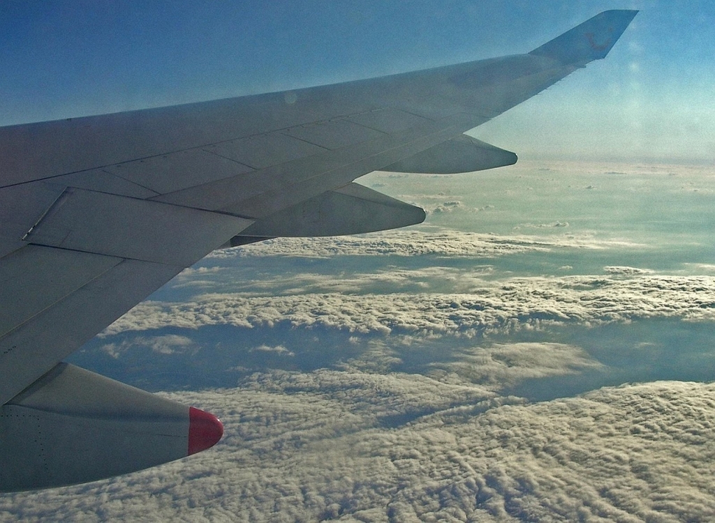 M008.jpg