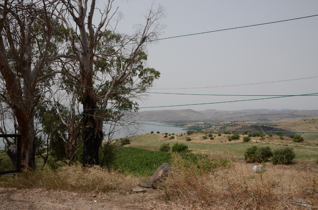 ISR369.jpg
