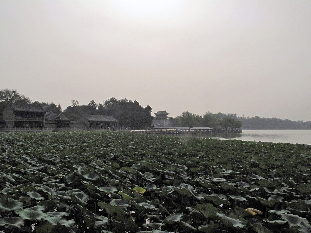 Chine901A.JPG